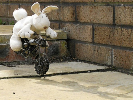 Coconut on bike