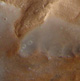 closeup footprint